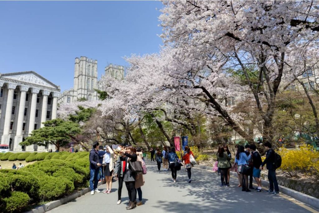 Fully Funded Scholarships in South Korean Universities
